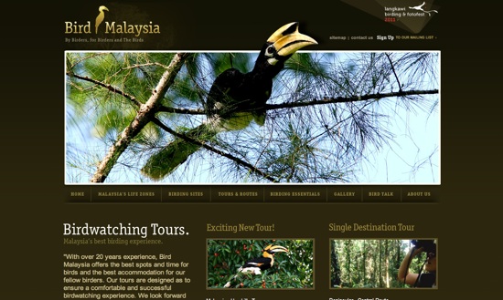 Bird Malaysia