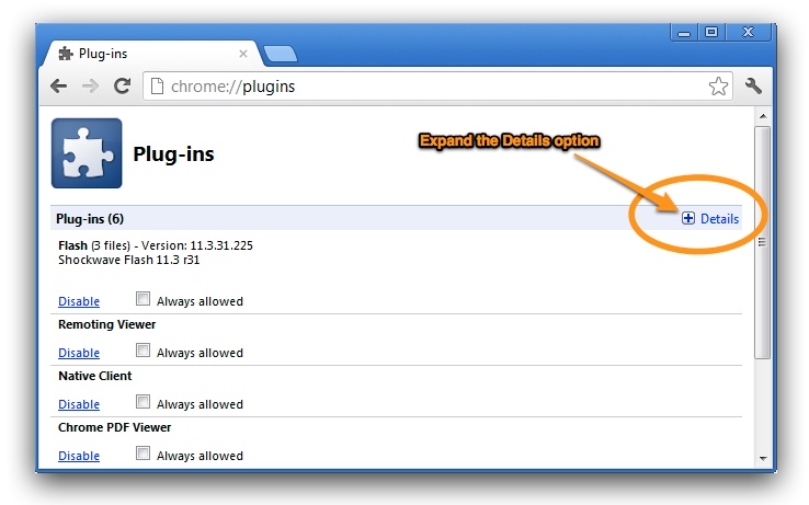 Chrome plugins expand details